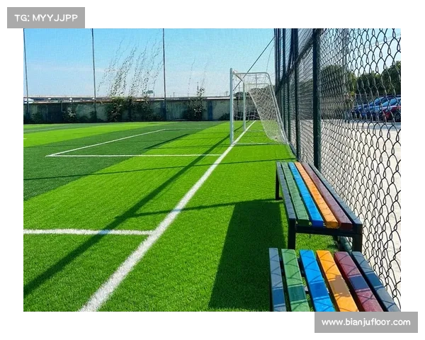 从绿茵草创到规则确立追溯英国足总诞生与足球现代化之路